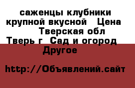 саженцы клубники крупной вкусной › Цена ­ 30 - Тверская обл., Тверь г. Сад и огород » Другое   